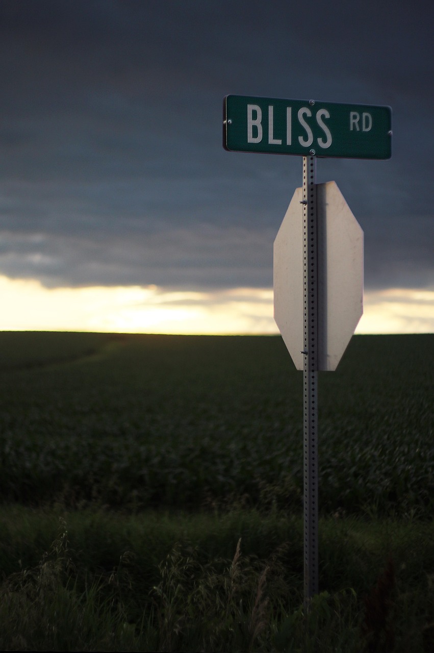 The Resilient Ego: Taking Control of Life